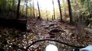Rock Garden in Patapsco