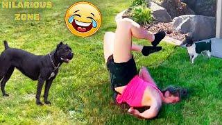 Funny & Hilarious People Life  #102 | TRY NOT TO LAUGH  | Instant Regret Fails Compilation 2024