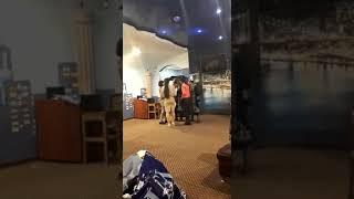 Той иелерінен шапан иығымызға