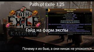 Path of Exile 3.25 | Гайд на фарм опыта или почему ходячие мертвецы отдыхают в сторонке...