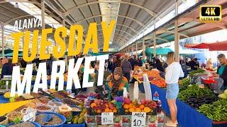 Alanya Tuesday Market | Fresh Produce, Colorful Stalls, and Shopping Fun! | December 2024