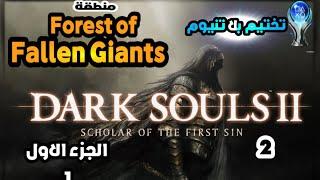 2 تختيم بلاتنيوم لعبة دارك سولز 2 - Forest of Fallen Giants - مهندز Dark Souls 2