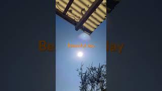 Beautiful day