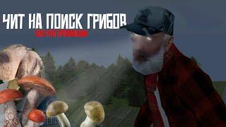 ЧИТ на поиск ГРИБОВ |  MTA PROVINCE