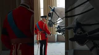 Trooping the Colour 2025