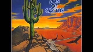 New Cactus Band - Man is a boy