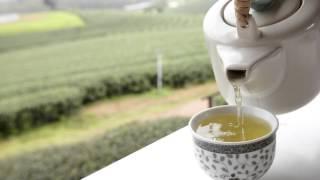 White Tea: Why isn't it more popular?