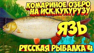 русская рыбалка 4 - Язь озеро Комариное - рр4 фарм Алексей Майоров russian fishing 4