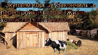 Покупаем корову! Закончились перестройки в сарае! Жизнь хозяйства налаживается!