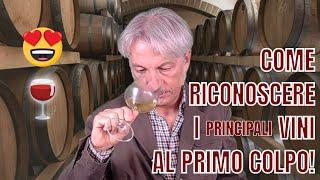 COME RICONOSCERE I PRINCIPALI VINI AL PRIMO COLPO! (senza leggere l'etichetta)