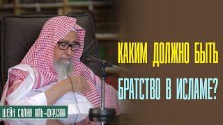 Шейх Салих аль Фаузан. Братство в исламе. Права мусульманина над мусульманином!