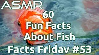 ASMR | 60 Fun Facts About Fish | Facts Friday #53 | Whispered