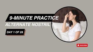 Alternate Nostril Breathing | 9 minutes (Day 1) 28 Day Breathwork Series