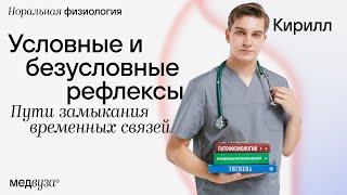 Условные и безусловные рефлексы | Пути замыкания временных связей | Нормальная физиология