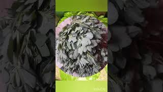 Leafy vegetables