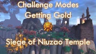 Getting Gold - Siege of Niuzao Temple Challenge Mode [Protection Paladin]