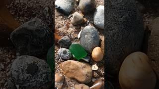 Kelly green sea glass.   #beach #seaglass #green #shorts