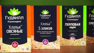 Агрохолдинг Гудвилл   Презентация