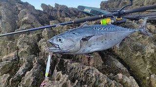 Доброе тунцовое утро) Рыбалка на берегу Адриатического моря