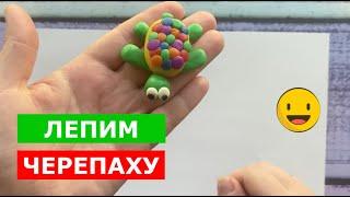 ЧЕРЕПАХА из пластилина. Как слепить черепаху. Лепим из пластилина.