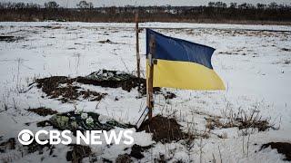 Ukrainian expert on her country's year of resistance