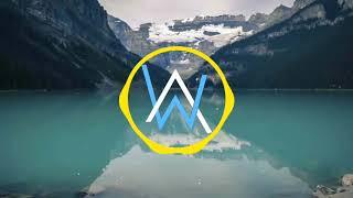 Alan Walker - Vitality