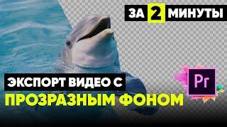 Экспорт с прозрачным фоном в Premiere Pro  Как сохранить видео с прозрачностью?