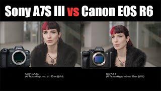 Sony A7S III vs Canon EOS R6 Autofocus Comparison at f1.8 / Interview setup