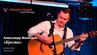 "Кресты" Александр Волкодав "Гнездо глухаря" Санкт-Петербург 10.02.24 #питер #голос #концерт #live