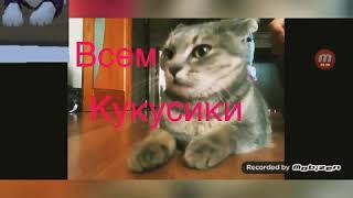 Реакцыя на видео Mia 515