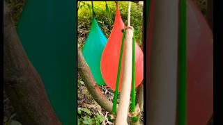 Bamboo creations with new slingshots #bamboo #diy #technique world #slingshot