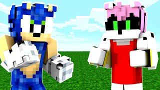 Minecraft Sonic The Hedgehog 2 - METAL AMY?! [14]