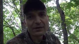 How to Scout and Hunt Deer