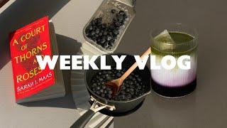 WEEKLY VLOG | Making Blueberry Syrup & Book Update