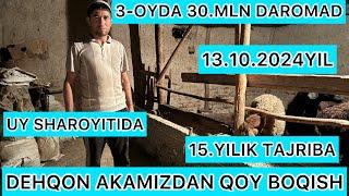 15.YILLIK TAJRIBA DEHQON AKAMIZDAN QOY BOQISH SIRLARI FOYDALI VIDEO TOMOSHA 33-587-16-16