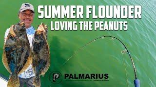 SUMMER FLOUNDER Loving Peanut Bunker at Reynolds Channel | Capt Joey Leggio