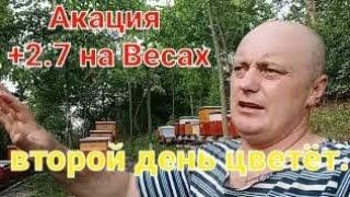 +2.7 кг. на Весах. Взяток есть.Пригород Харькова.