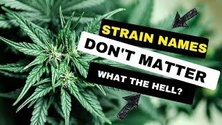 Why Strain Names Don't Matter Anymore!