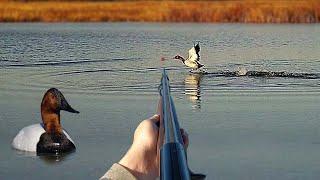 Hunting CANVASBACKS with a 28 GAUGE! (Limited Out) | Solo Afternoon Duck Hunting (Remastered)