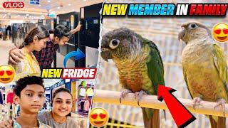 Who is coming to meet us this time? | Meet Gucci and Prada️ | New Fridge | Ankit Twinkle Vlogs