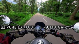 Crossing Tea Gardens of Palampur | Barot Valley Ride | Pure Exhaust Sound RE Meteor 350 Raw Onboard