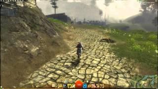 GW2 Ranger Pet Locations - Eagle