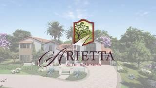 Arietta New Homes - Del Mar Mesa San Diego, Lot 9