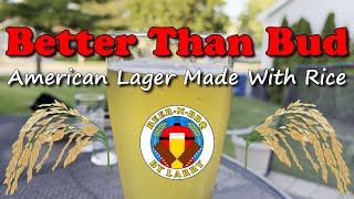 Home Brewed American Lager with Rice Adjunct: Tasting, Recipe, and Yeast Comparison