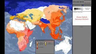 History of Hominin Species 348,000 BCE - 2023 CE --- PART 1 // Anthrosapien //