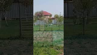 Утро вдали от города ️