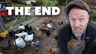 the End of the Fat Lady Hens