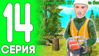 ПУТЬ ДО ЛАМБЫ НА HASSLE ONLINE #14 - ЗАРАБОТОК ЛЕСОПИЛКА НА ХАССЛ ОНЛАЙН (RADMIR RP CRMP MOBILE)