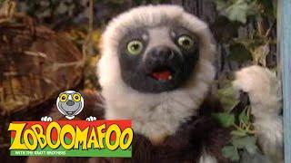 Zoboomafoo 219 - Messy and Clean (Full Episode)