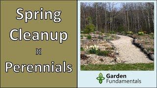 Spring Cleanup - Cutting back perennials the easy way: Chop & Drop